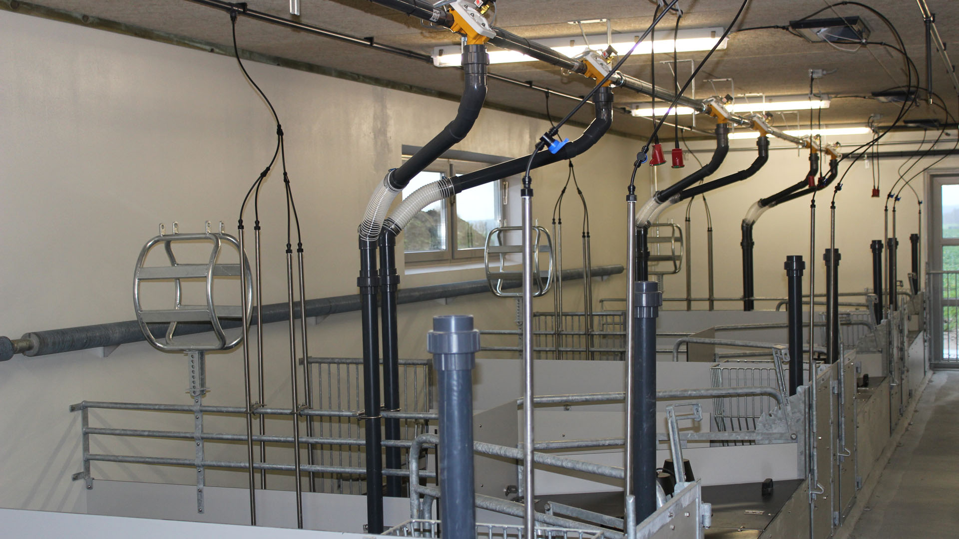 Grisningsavdelning - stallinredning