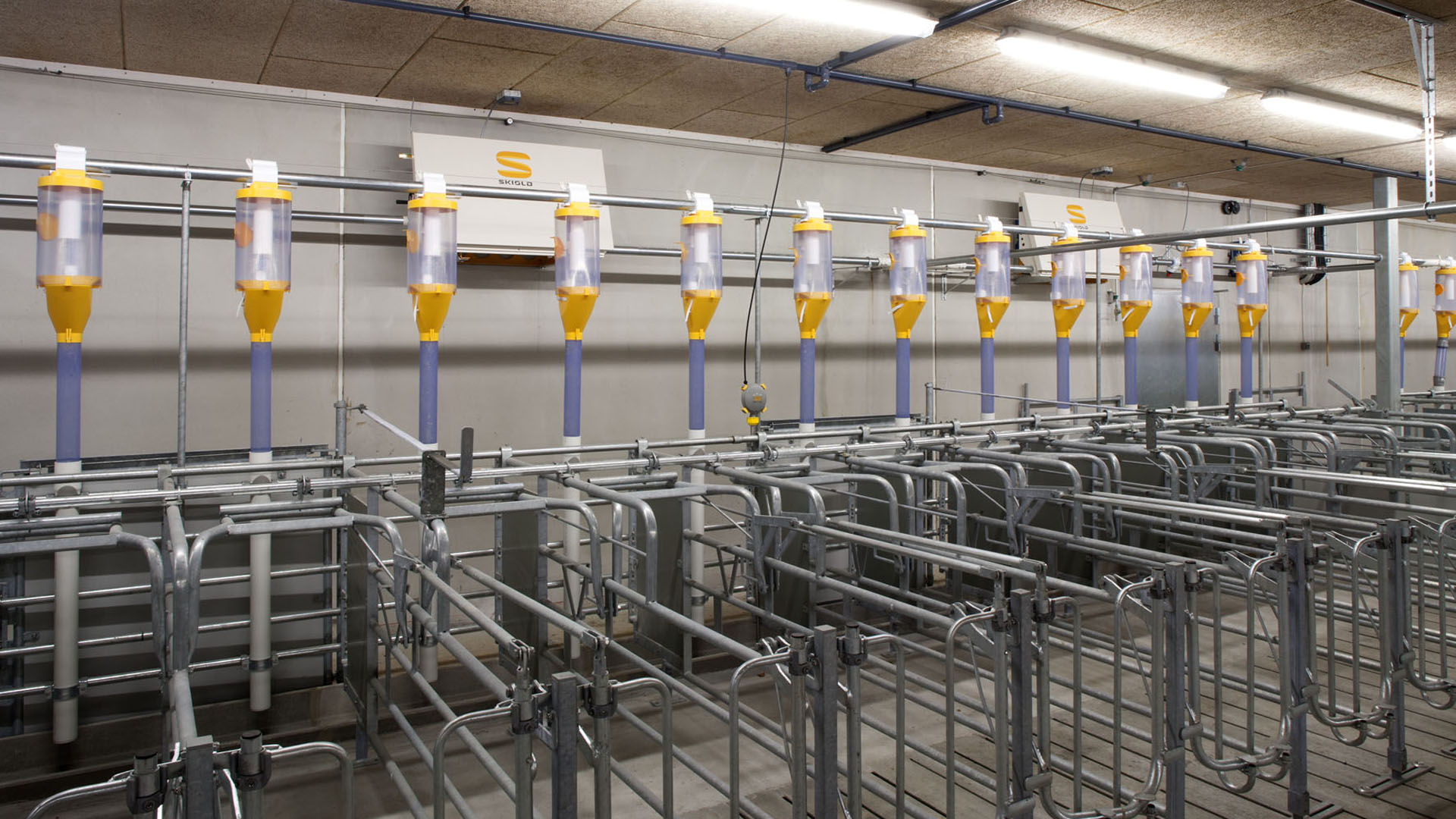 Stallinredning - lösningar inom svinstallar